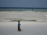   : Zanzibar 2011